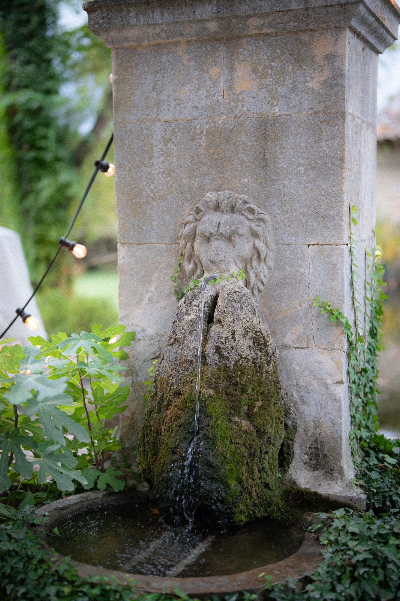 mariage_bastide_de_puget_photographe_provence-64 mariage_bastide_de_puget_photographe_provence-64