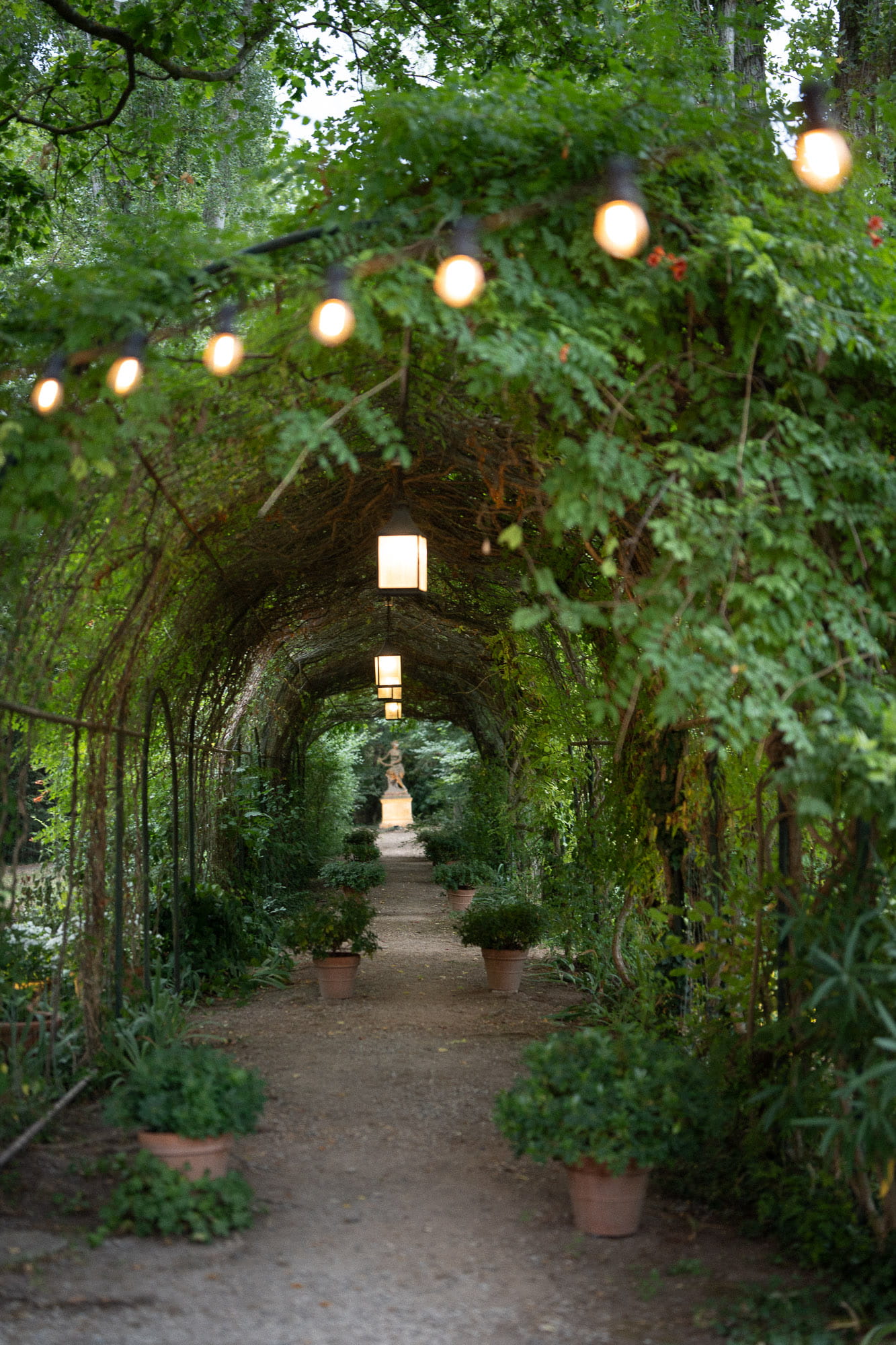 mariage_bastide_de_puget_photographe_provence-65 mariage_bastide_de_puget_photographe_provence-65